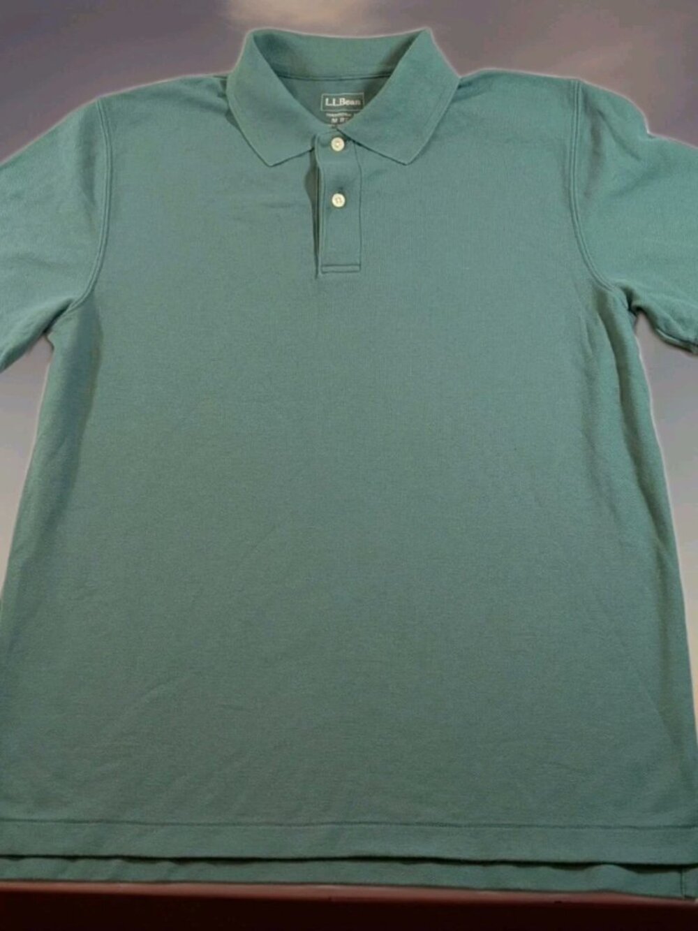 L.L. Bean Mens Size M Reg Green Traditional Fit Short Sleeve Polo Shirt